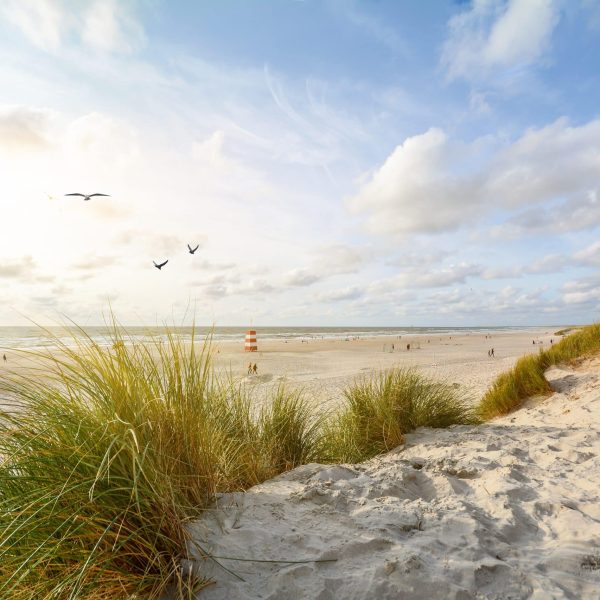View to beautiful landscape with beach and sand dunes near Henne Strand, North sea coast landscape Jutland Denmark