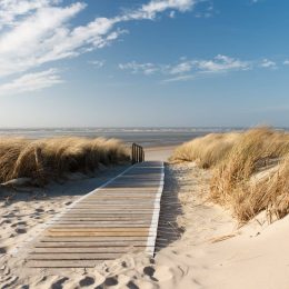 Weg zum Strand durch die Dünen auf Langeoog mit der Nordsee im Hintergrund.